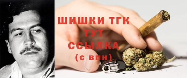 мескалин Мегион