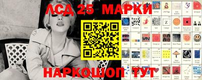 мет Камышлов