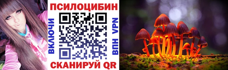 Галлюциногенные грибы Psilocybe хочу наркоту Назрань