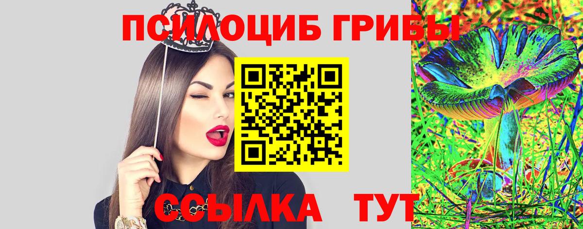 Галлюциногенные грибы Magic Shrooms  Назрань  Псилоцибиновые грибы Psilocybine cubensis 